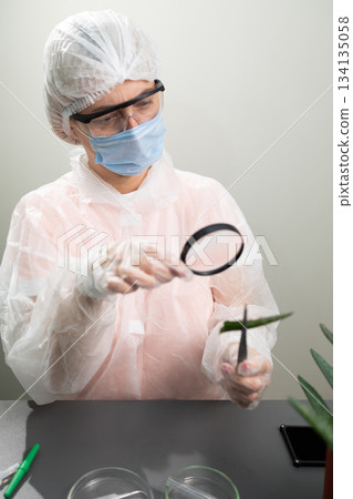 Researcher Studies Aloe Plant Applications Using Magnifying Glass in Laboratory Setting 134135058
