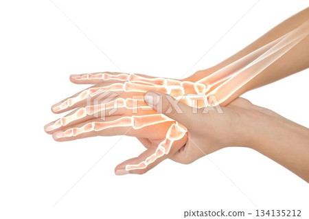 Highlighted bones of woman hand Highlighted bones of woman hand 134135212