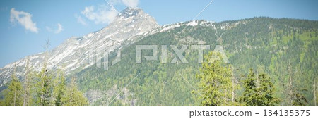 Rocky mountain peak is towering in flat design alpine scene, with snow patches and evergreen trees 134135375