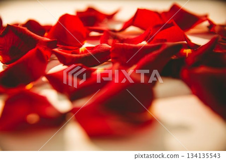 Scattered red rose petals on table Scattered red rose petals on table 134135543