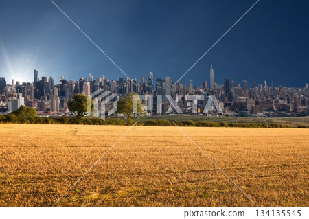 Illustrative image of grassy landscape and buildings Illustrative image of grassy landscape and buildings 134135545