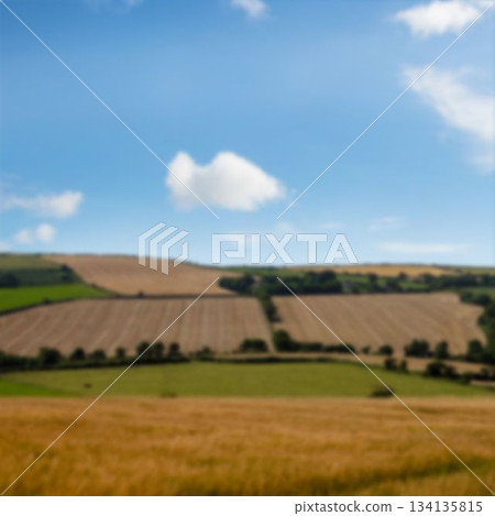 Agriculture fieldagainst sky Agriculture fieldagainst sky 134135815