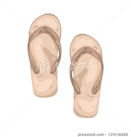 Illustration of flip flops Illustration of flip flops 134136888