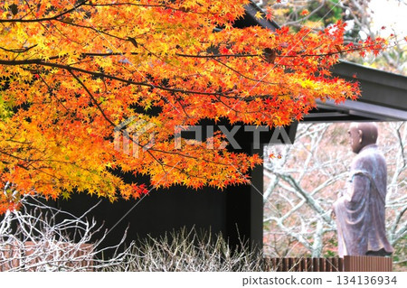 Autumn in Kamakura: Autumn leaves and the bronze statue of Saint Nichiren at Myohonji Temple Autumn in Kamakura: Autumn leaves and the bronze statue of Saint Nichiren at Myohonji Temple 134136934