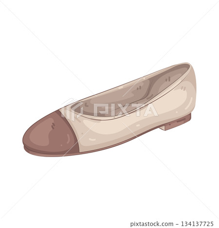Illustration of flat shoes Illustration of flat shoes 134137725