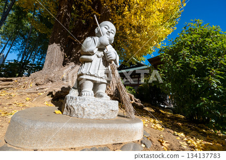 Ginkgo tree at Kagekōji Temple 134137783