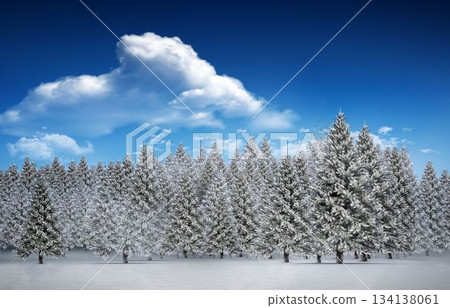Fir tree forest in snowy landscape Fir tree forest in snowy landscape 134138061