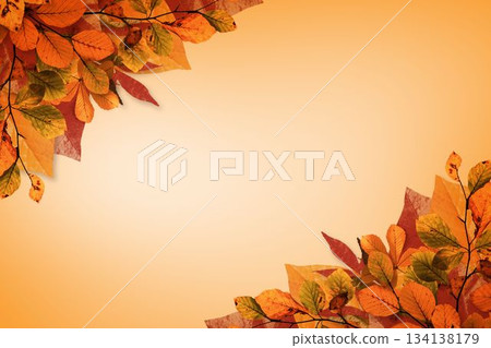 Autumn leaf clusters are framing flat design with veins and branches on orange gradient, copy space Autumn leaf clusters are framing flat design with veins and branches on orange gradient, copy space 134138179