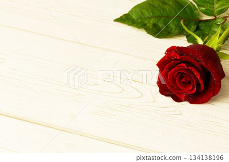 Red rose on wood with copy space 134138196
