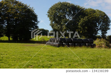 Stacked black plastic-wrapped hay bales are standing in flat design rural pasture, with wire fence Stacked black plastic-wrapped hay bales are standing in flat design rural pasture, with wire fence 134138199