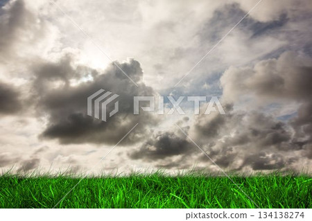 Green grass under grey sky 134138274