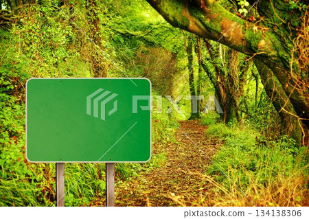 Green road sign by mountain trail 134138306