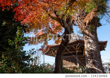 Ginkgo tree at Kagekōji Temple Ginkgo tree at Kagekōji Temple 134138468