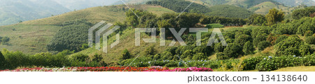 A scenic panorama view of a mountains and lush green landscape, perfect for travel or wallpaper 134138640