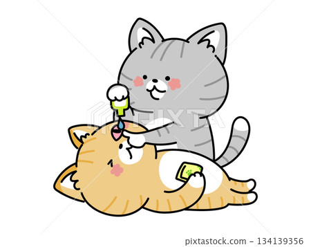 貓咪正在滴眼藥水（白色輪廓線） 134139356