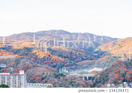 寶塚夜景 134139371