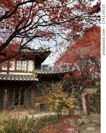 被秋葉包裹的山門 被秋葉包裹的山門 134139525