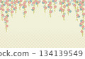 Weeping cherry blossom background 134139549