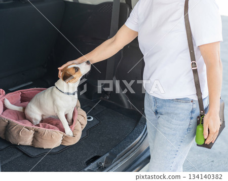 The owner strokes the dog sitting on a bed in the trunk of the car. The owner strokes the dog sitting on a bed in the trunk of the car. 134140382