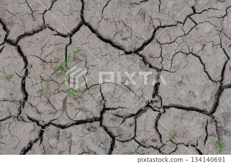 Dry and cracked earth with small green sprouts indicating resilience in drought-stricken area Dry and cracked earth with small green sprouts indicating resilience in drought-stricken area 134140691