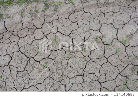Dry cracked earth displaying signs of drought with patches of green vegetation peeking through in a rural landscape during summer Dry cracked earth displaying signs of drought with patches of green vegetation peeking through in a rural landscape during summer 134140692