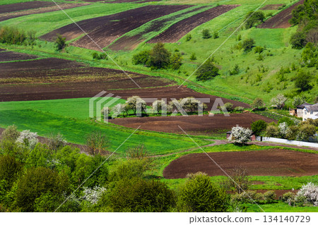 Rolling green hills with fields and trees in bloom during springtime in a rural landscape Rolling green hills with fields and trees in bloom during springtime in a rural landscape 134140729