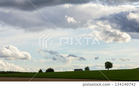 Wide landscape with rolling green fields and a dramatic sky showcasing a serene rural view with a solitary tree and distant structures in late afternoon light Wide landscape with rolling green fields and a dramatic sky showcasing a serene rural view with a solitary tree and distant structures in late afternoon light 134140742