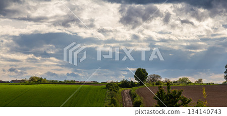Fresh green fields stretch under a dramatic sky as a winding path leads into the horizon during late afternoon in scenic countryside Fresh green fields stretch under a dramatic sky as a winding path leads into the horizon during late afternoon in scenic countryside 134140743