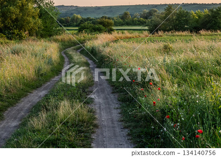 Serene dirt path winding through lush green fields and wildflowers during golden hour at sunset near rural landscape Serene dirt path winding through lush green fields and wildflowers during golden hour at sunset near rural landscape 134140756