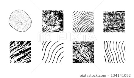 Wood cross section Wood cross section 134141092