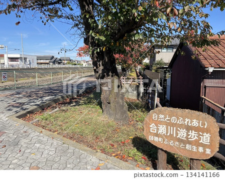 A promenade along the Aise River, which flows from Kita Ward, Nagoya City to Inuyama City A promenade along the Aise River, which flows from Kita Ward, Nagoya City to Inuyama City 134141166