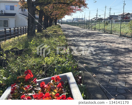 沿著愛瀨川所建造的步道，愛瀨川從名古屋市北區流向犬山市。 134141170