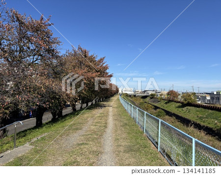 A promenade along the Aise River, which flows from Kita Ward, Nagoya City to Inuyama City A promenade along the Aise River, which flows from Kita Ward, Nagoya City to Inuyama City 134141185