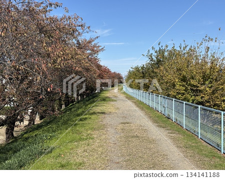 沿著愛瀨川所建造的步道，愛瀨川從名古屋市北區流向犬山市。 134141188