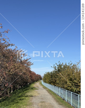 A promenade along the Aise River, which flows from Kita Ward, Nagoya City to Inuyama City 134141189
