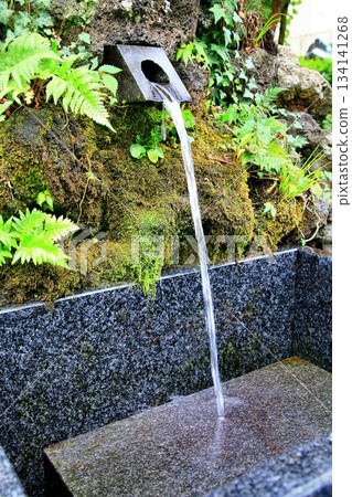 Founded in 1161... "Kinohana Famous Water" at "Shinbashi Sengen Shrine," where the opening and closing ceremonies for Mount Fuji are also held Founded in 1161... "Kinohana Famous Water" at "Shinbashi Sengen Shrine," where the opening and closing ceremonies for Mount Fuji are also held 134141268