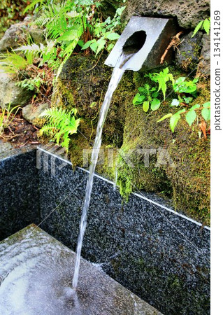 始建於1161年…位於新橋淺間神社的“木之花名水”,也是富士山開幕和閉幕儀式的舉行地。 始建於1161年…位於新橋淺間神社的“木之花名水”,也是富士山開幕和閉幕儀式的舉行地。 134141269