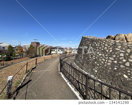 Kottsuyama Park, located along the Aise River in Kitanagoya City, Aichi Prefecture 134141290