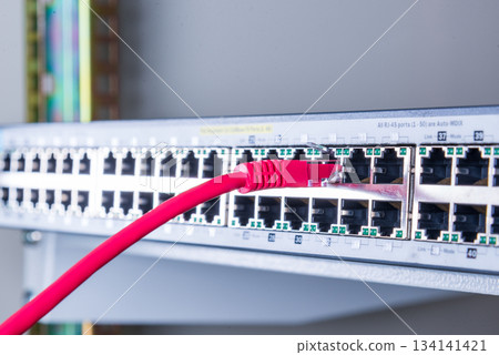 red network cable connected to witch red network cable connected to witch 134141421