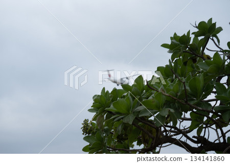 JAC3830班機（JA07JC）從喜界島機場起飛後，在強風中於奄美機場2號跑道發生嚴重事故。 134141860
