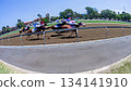 Horse Racing Motion Speed Blur Action Horse Racing Motion Speed Blur Action 134141910