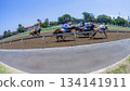 Horse Racing Motion Speed Blur Action Horse Racing Motion Speed Blur Action 134141911