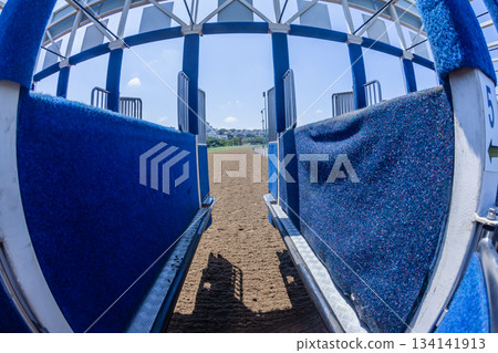 Horse Racing Starting Gate Inside Perspective Horse Racing Starting Gate Inside Perspective 134141913