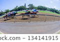 Horse Racing Motion Speed Blur Action Horse Racing Motion Speed Blur Action 134141915