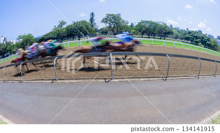 Horse Racing Motion Speed Blur Action Horse Racing Motion Speed Blur Action 134141915