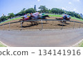 Horse Racing Motion Speed Blur Action Horse Racing Motion Speed Blur Action 134141916