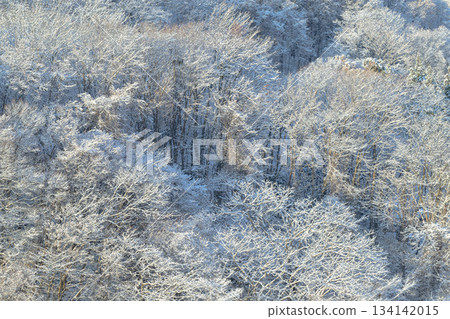 Mt. Moiwa winter view_8284 134142015