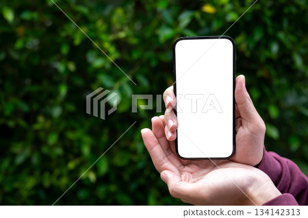 Man's hands holding or showing white screen smartphone with green leaves tree garden wall background Man's hands holding or showing white screen smartphone with green leaves tree garden wall background 134142313