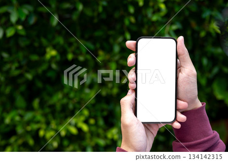 A man hands holding or showing blank screen smartphone with green leaves tree garden wall background A man hands holding or showing blank screen smartphone with green leaves tree garden wall background 134142315