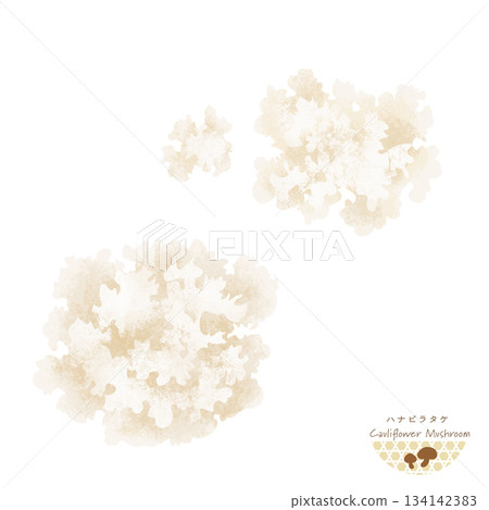 繡球花的水彩插圖 134142383
